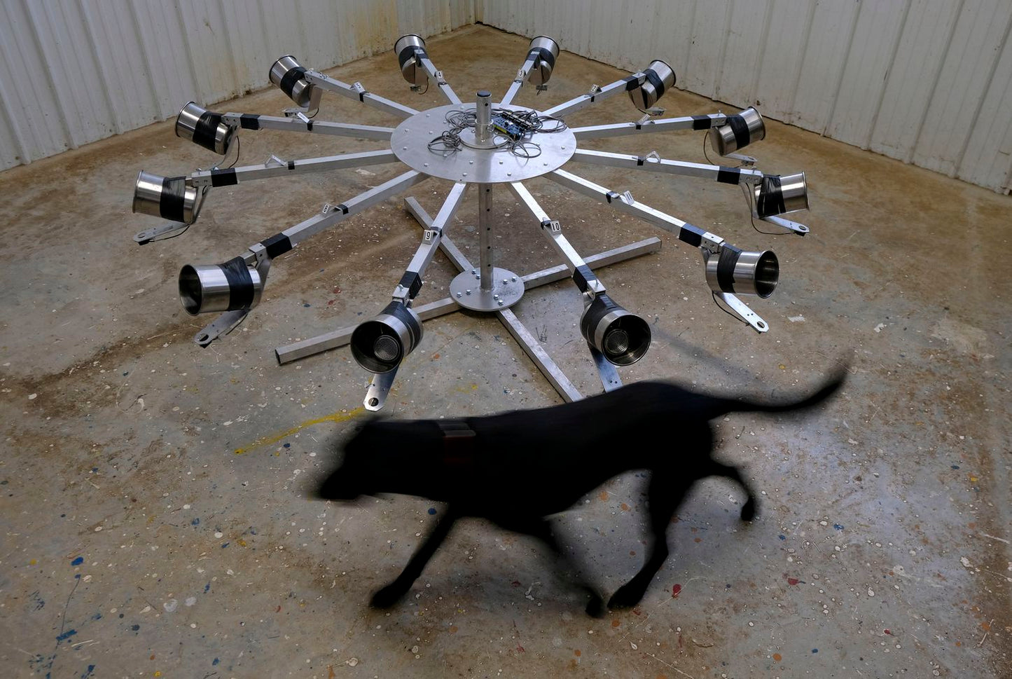 Collapsible scent training wheel